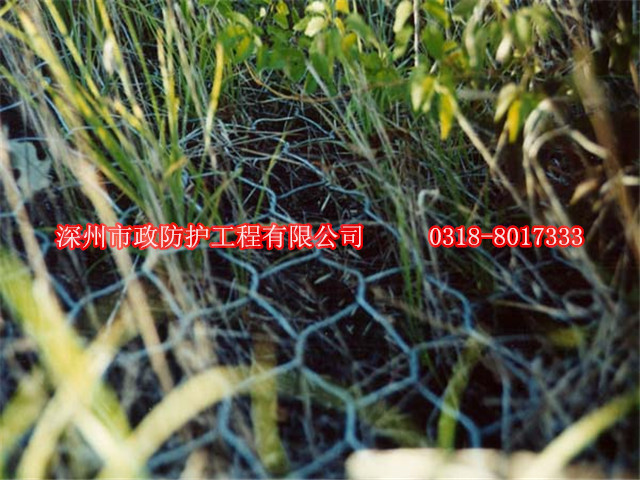 湖北PVC鉛絲籠