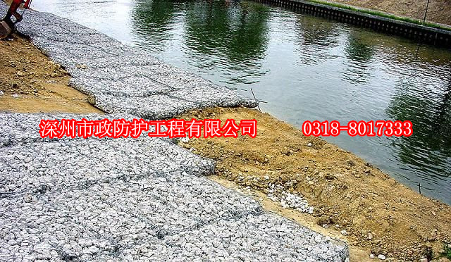 湖北高爾凡雷諾護(hù)墊