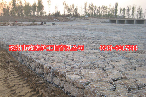湖北高爾凡雷諾護(hù)墊