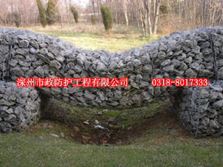 湖北賽克格賓