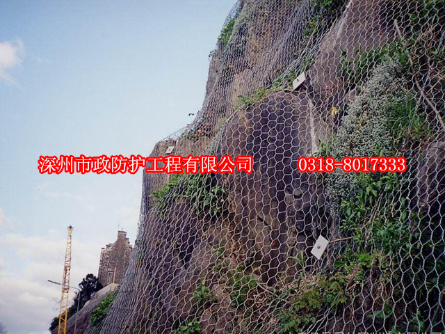 湖北高山掛網(wǎng)