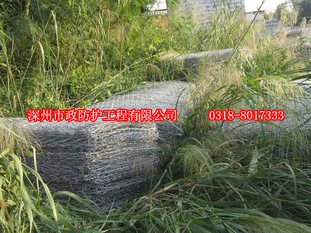 湖北賓格籠網(wǎng)