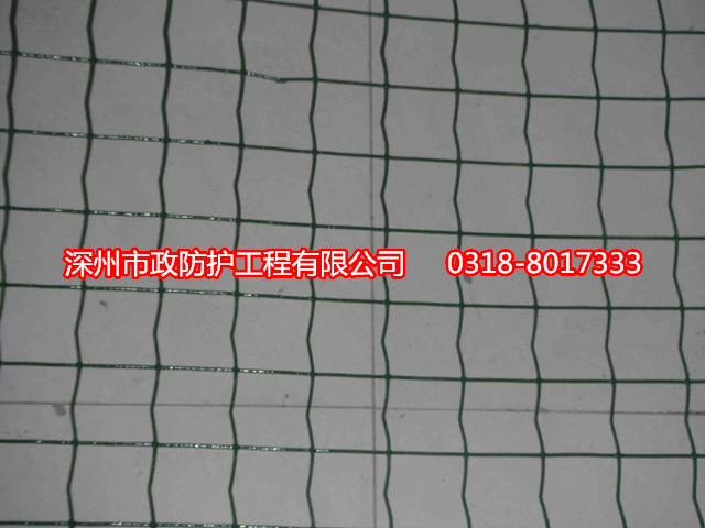 湖北涂塑焊接網(wǎng)