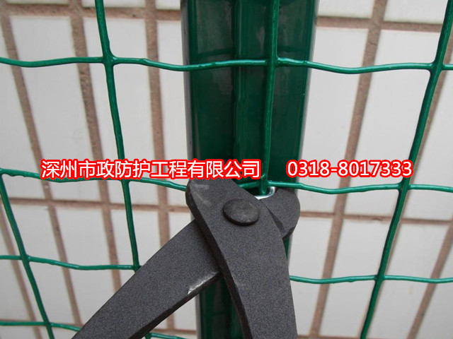 湖北涂塑焊接網(wǎng)