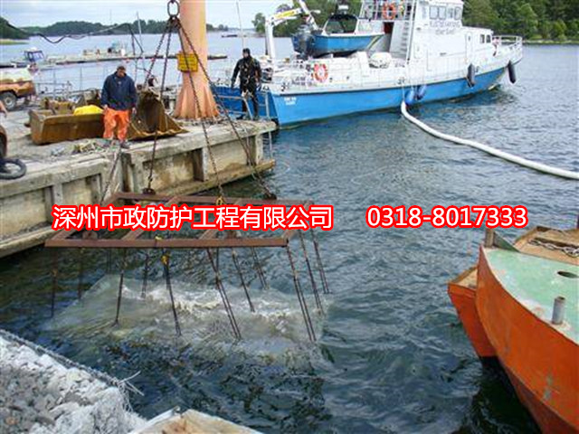 湖北拋石網(wǎng)