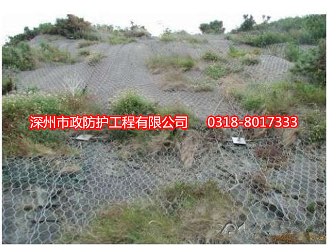 湖北格賓掛網(wǎng)