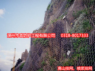 湖北落石防護(hù)網(wǎng)